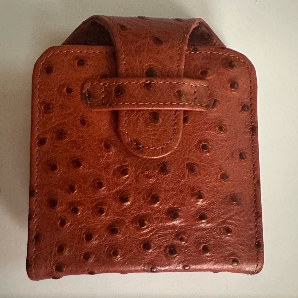 Vintage ostrich leather travel vanity or grooming kit